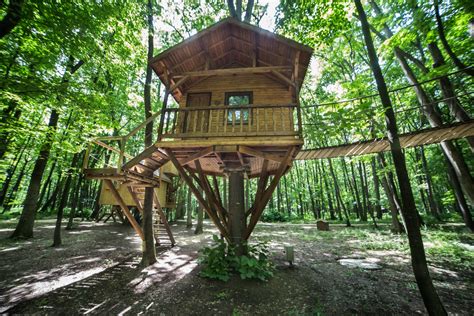 Architectural Marvel: The Mafic Tree House 16 Story